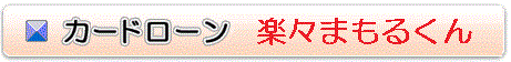 カードローン(しんきん保証)